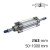 SC-CPID-63X600-S