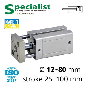 Pneumatic cylinders with an anti-rotation platform of the SC-ANDR series according to the ISO21287 standard