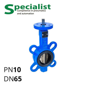 Disc rotary valve DU 65 cast iron inter-flange non-dismountable series SCBF-D673-10XEX-65