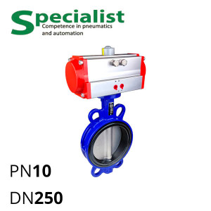 Disc rotary valve DU 250 cast iron intermediate flange with pneumatic drive SCBF-D673