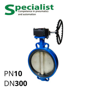 Disc rotary valve DU 300 cast iron inter-flange non-dismountable with SCBF-D673 series reducer