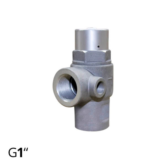Check valve + minimum pressure 1″ for the compressor