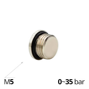 Plug bronze SF-Z2610 with external thread and mounting internal hexagon
