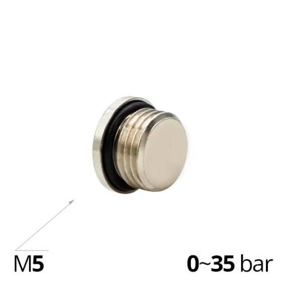 Plug bronze SF-Z2610 with external thread and mounting internal hexagon