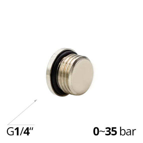 Plug bronze SF-Z2610 with external thread and mounting internal hexagon