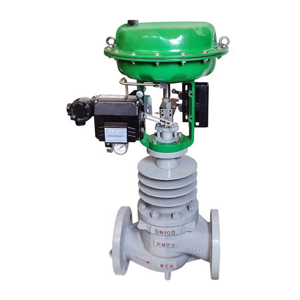 Control valves for steam with pneumatic actuator (2)