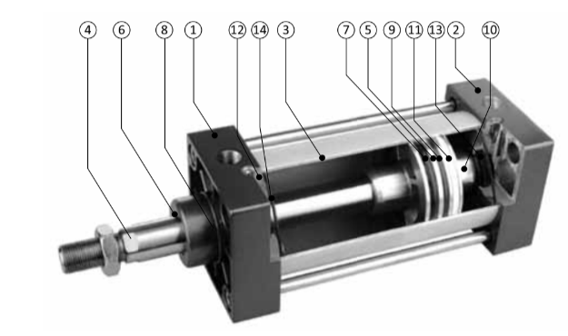 SC-SCJ Internal Structure